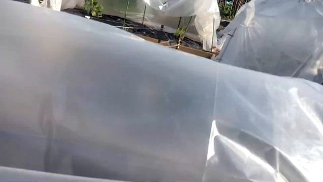 Детский сад и сад😀 30 июня смотреть онлайн