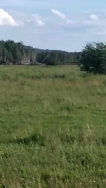 Горы из отвалов. Башкортостан. Учалинский район. Уразо