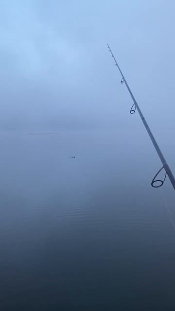 Foggy morning-beauty #fishing #microjig #fish #мормышинг #spinning #рыбалка #мик смотреть онлайн