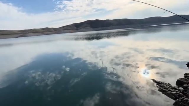 СУДАК 2024. РЫБАЛКА В КАЗАХСТАНЕ. СУДАК НА ДЖИГ. ЛУЧШАЯ П?