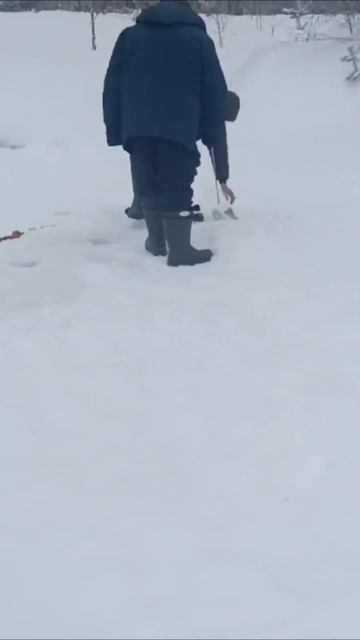 Продолжаем ловить ФОРЕЛЬ! ПОКЛЕВКИ на малом водоеме в смотреть онлайн