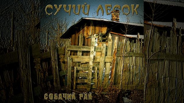 Собака