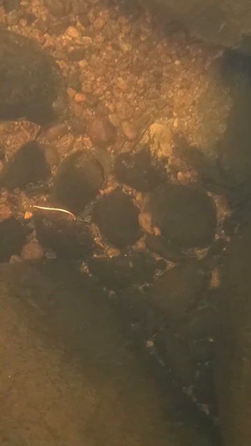 Блесна на дне смотреть онлайн