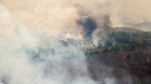 В огненном кольце: в Амурской области горят тысячи деревьев