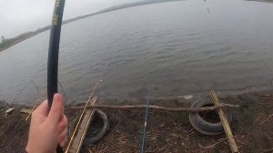 ОГРОМНЫЕ КАРАСИ С ВЕДРО В БОЛОТЕ! ЛОВЛЯ КРУПНОГО КАРАС