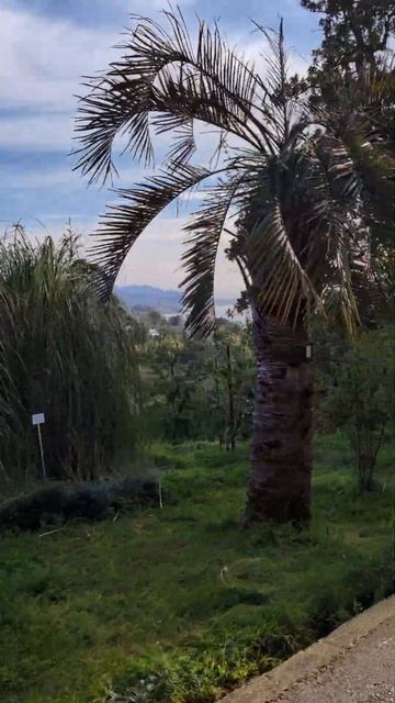 Невероятной красоты Садгрузия природа лето2024 жиз