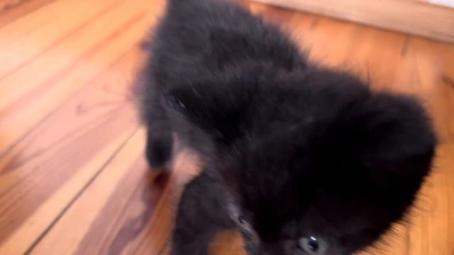 ЖИЗНЬ СЕМЬИ НА ГЛУХОМ НЕТИПИЧНОМ ХУТОРЕ БЕЛАРУСИ.  СТОЛЕТНЯЯ СТАРИННАЯ СКАТЕРТЬ. СУДАКА НА УГЛЯХ.