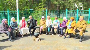День Победы Праздничные концерты