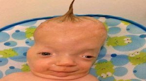 Offensive Memes if ylyl v1196 (StreetCan)