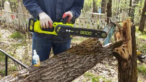 Цепная пила Besdo. Мини обзор