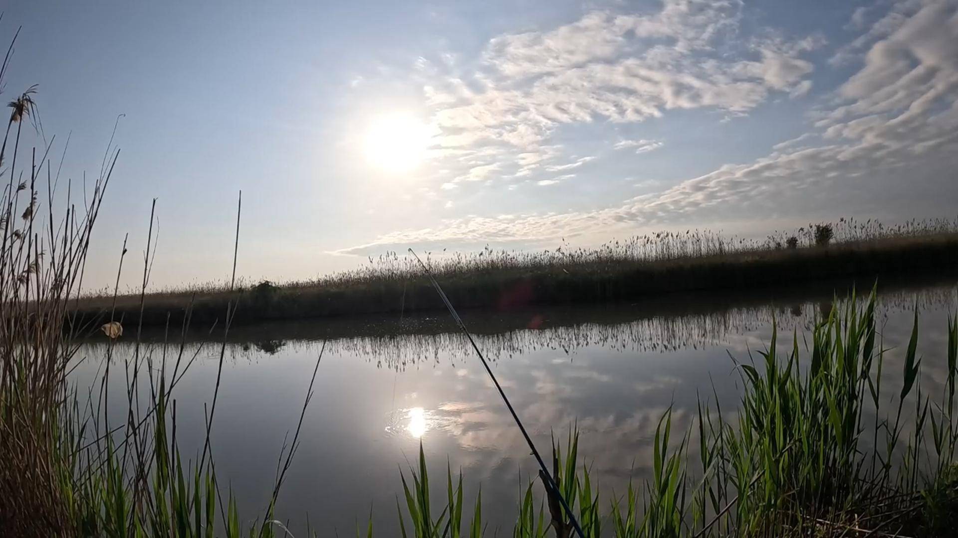 КРАСНОДАР, ДГК, РЫБАЛКА, КАРАСЬ ЕСТЬ!!!