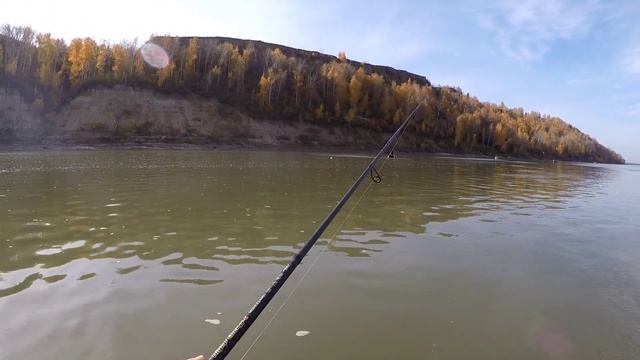 Удачное закрытие сезона 2024г (рыбалка на Оби, судак, щук смотреть онлайн