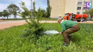 В Керчи поливают молодые деревья