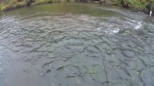 Приключения в тайге рыбалка и охота на севере ночёвка