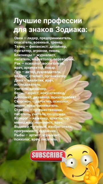 Лучшие профессии для каждого знака Зодиака  / Гороскоп