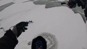 ПЕРВЫЕ СУДАКИ СО ЛЬДА. Рыбалка с Практик 8.