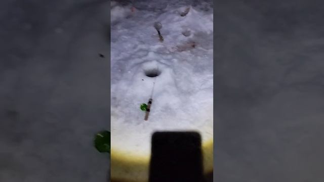 рыбалка на налима в Рязани #квартиры #недвижимость #но? смотреть онлайн