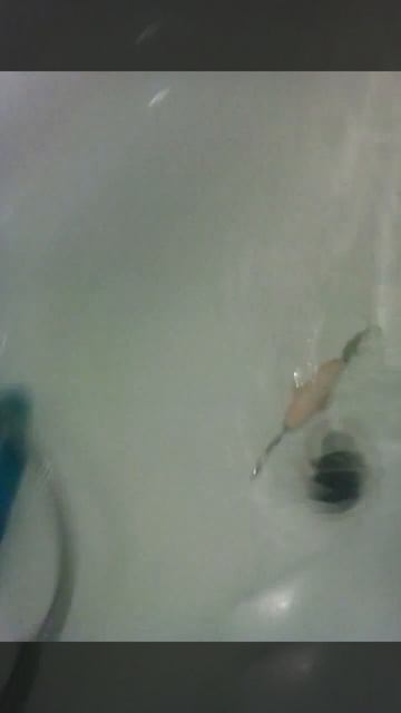 Торпеда 0.2.2 смотреть онлайн