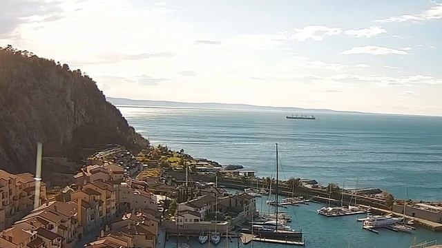 Что произойдет с телом, если есть много мандаринов смотреть онлайн