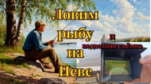 Поиск рыбы в СПБ.