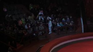 Как клоуны в цирке бабочку ловили