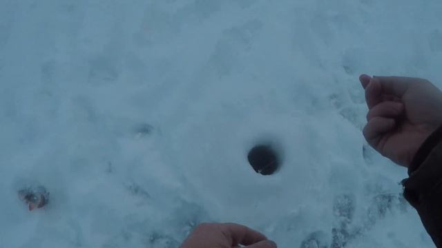 ОКУНЬ в ПОЛЯРНУЮ НОЧЬ. НЕОЖИДАННЫЙ БОНУС в конце.