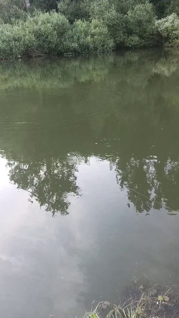 printed lures test #fishing #wobbler #lure #воблер #handmade #рибалка смотреть онлайн