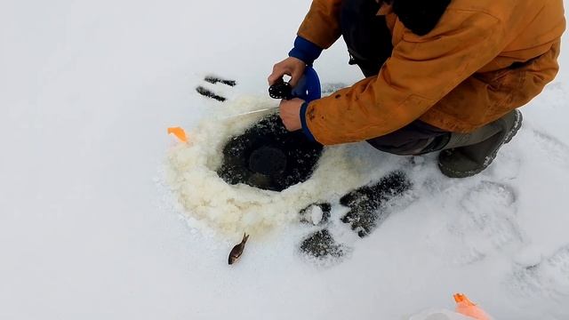 Жерлицы зимой: Экспедиция на ГЛУХОЕ ОЗЕРО за щукой смотреть онлайн
