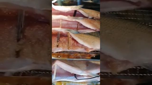 Чиры горячего копчения. Один чир фарширован красной и?