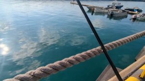 Ловля чуларки в порту Адлера