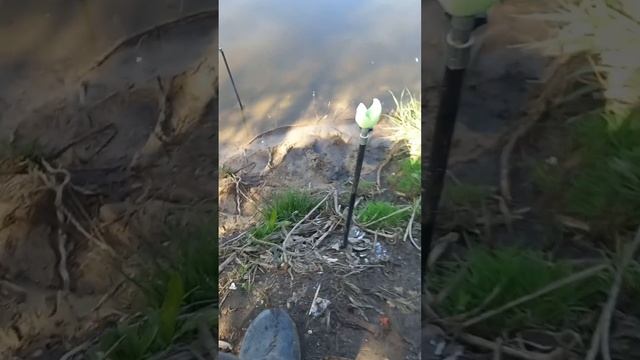 Рыбалка на  р.ДОН.