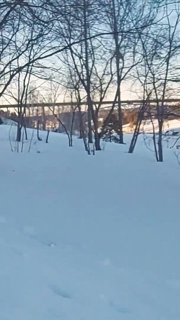 канонада город Каменск-Уральский с коляской не пройт смотреть онлайн