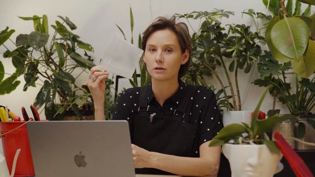 Как вырастить красивые и здоровые растения дома смотреть онлайн