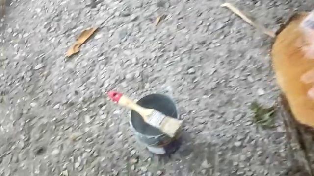 Халява! но как сохранить! Клен и боярышник! смотреть онлайн