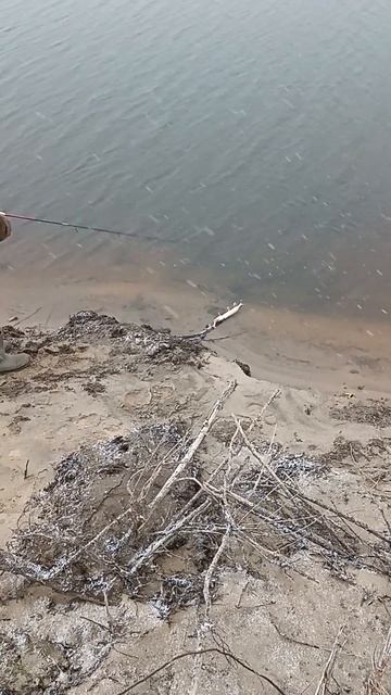 Это было в октябре.#спиннинг #рыбалкавякутии #щука #тра смотреть онлайн