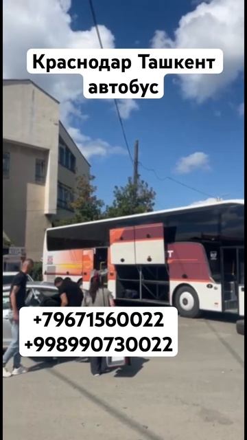 Краснодар Ташкент автобус Ростов-на-Дону Ташкент авто смотреть онлайн