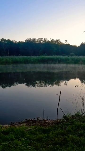 Утро после ночёвки 👍 смотреть онлайн