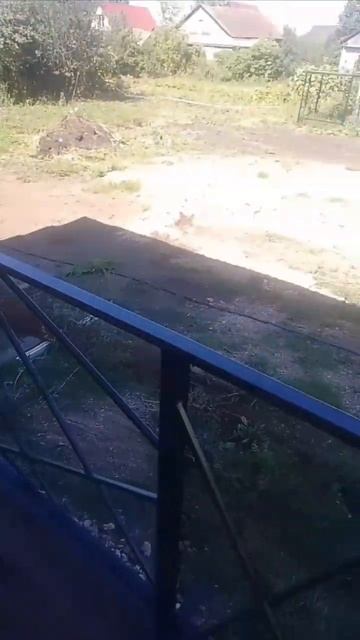 вагон-бытовка вторая жизнь смотреть онлайн