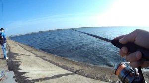 РЫБАЛКА С ZANDER GAME XT LIMITED EDITION и 2024 SHIMANO TWIN POWER 4000PG. Ловля ок