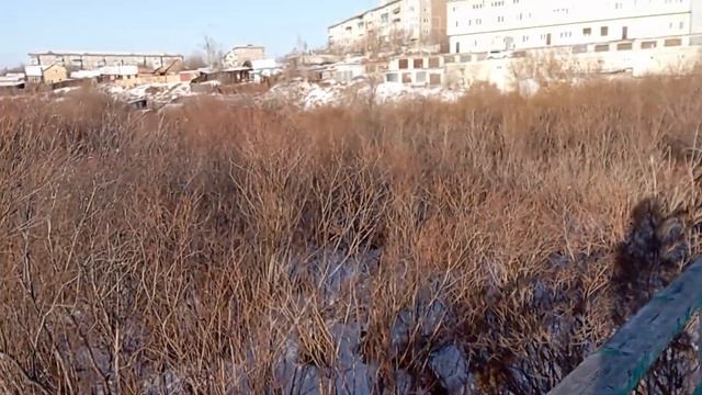 Влог/ много слова "КУШАТЬ" 😅/стрижка/покупки смотреть онлайн