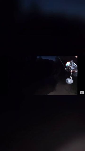 Рыбалка на удочку ночью 2 смотреть онлайн