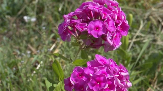 Биектау ТВ Выпуск от 12 07 2024