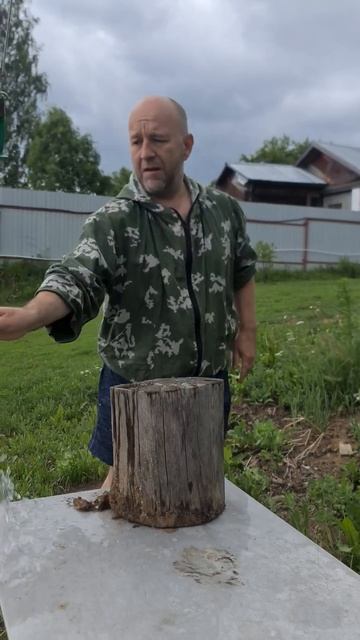 Жесткий_краштест_пчака_от_Бахрома