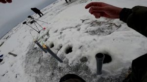 Бешенный Клёв Корюшки на Финском заливе.