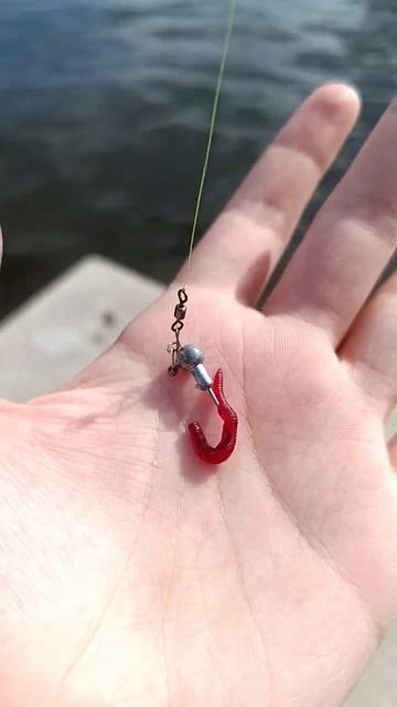 #fishing #рыбалка #обзор #рек #carpfishing #fish #рыба #приманки смотреть онлайн