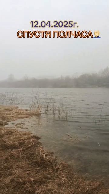 ЭТО НАШ ПРОГНОЗ рыбалка рыбалканафидер рыба сн?