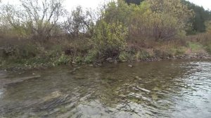 Сплав Чусовая 9й день