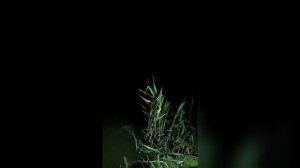 Рыбалка в Астрахани, июль 2024.