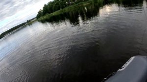 Ловля трофейного белого амура на поплавочную удочку с лодки на Десногорском водохранилище.  часть№2