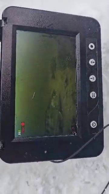 рыбалка на судака зимой